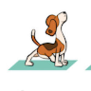 Meet your Posher, Khadija